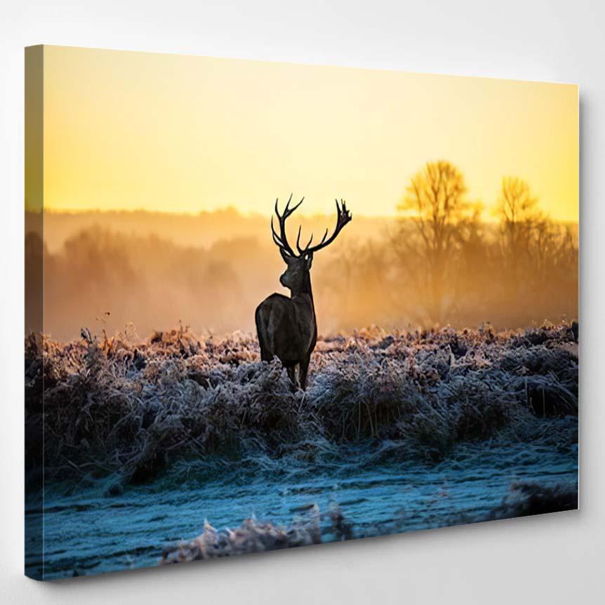 Red Deer 22 – Deer Animals Canvas Print