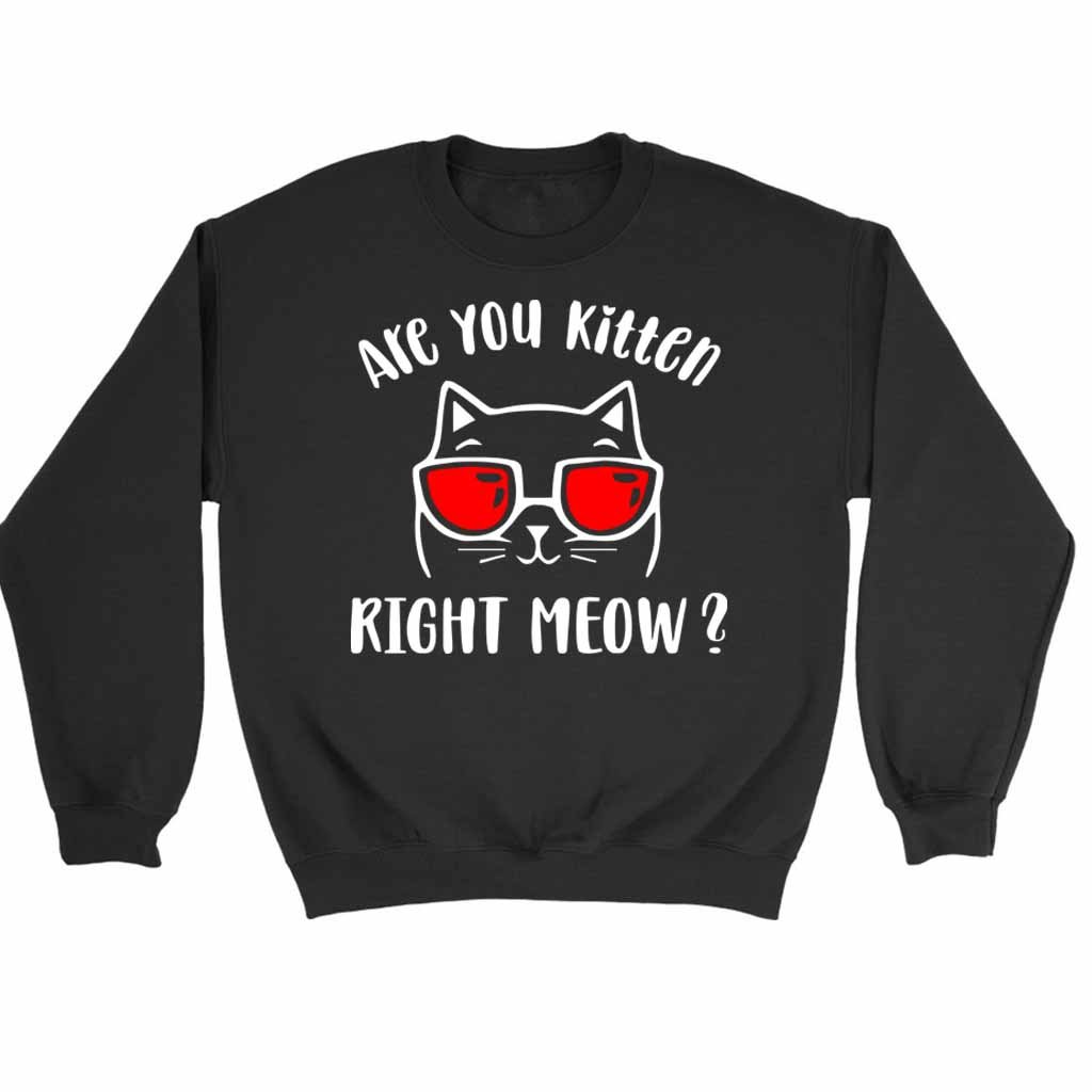 Are You Kitten Me Right Meow Cat Sweatshirt Sweater