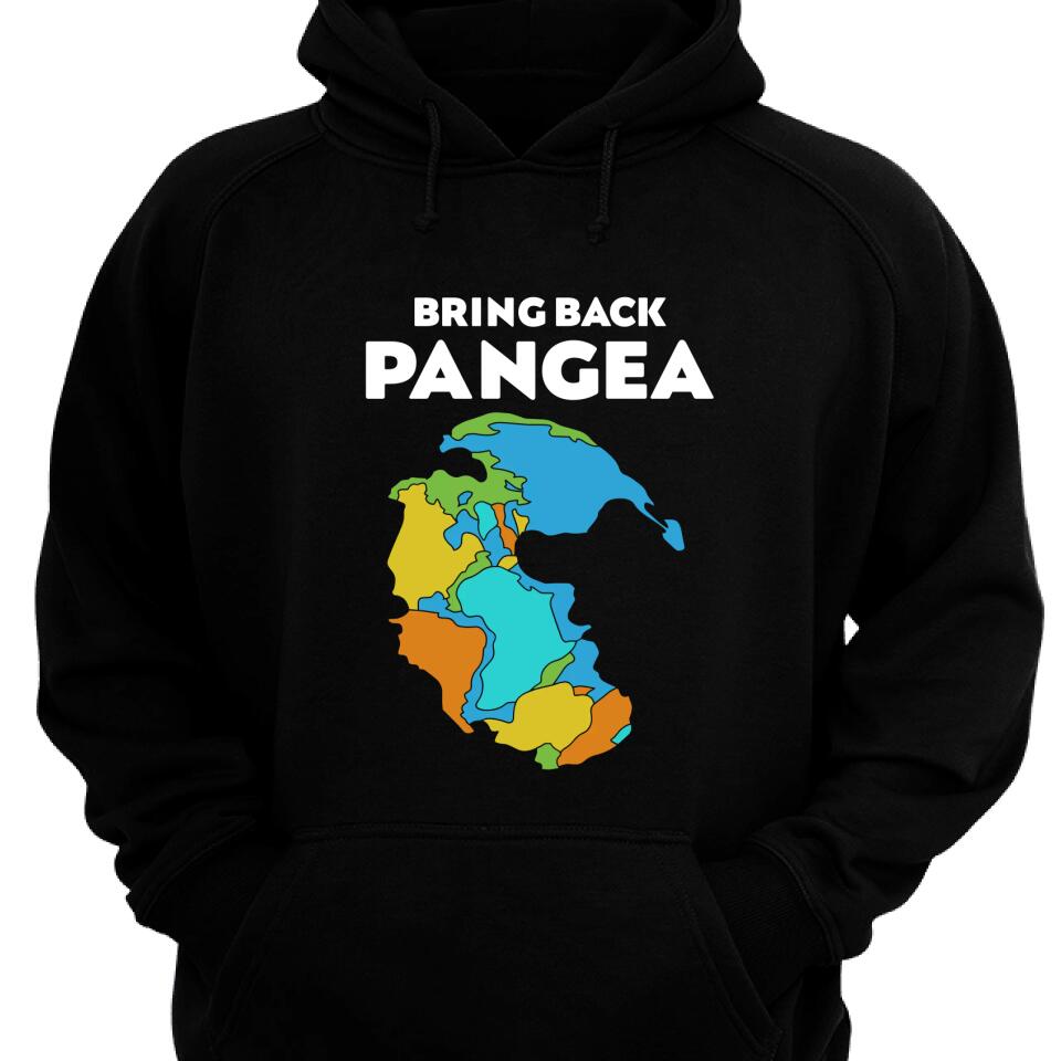 Bring Back Pangea Hoodie