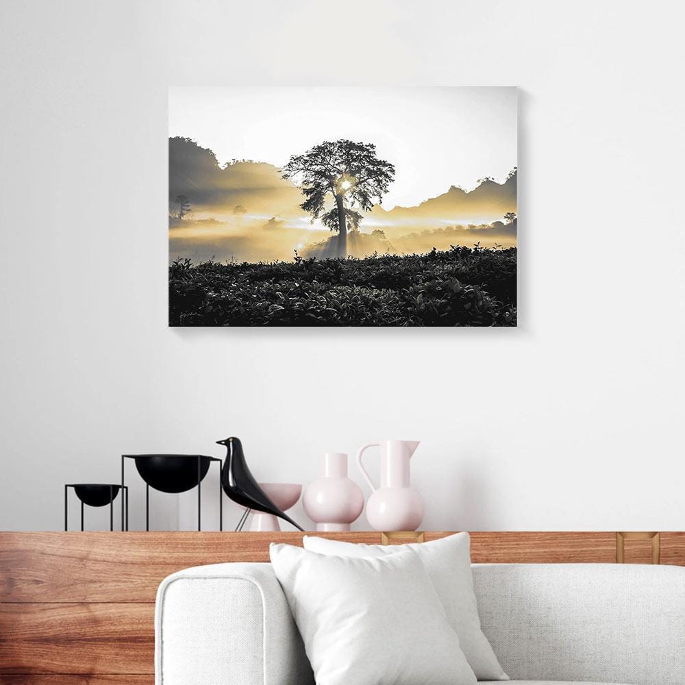 Canvas Prints Tree Sunlight Attractive Natural Wall Art Canvas Wall Art Home Decoration