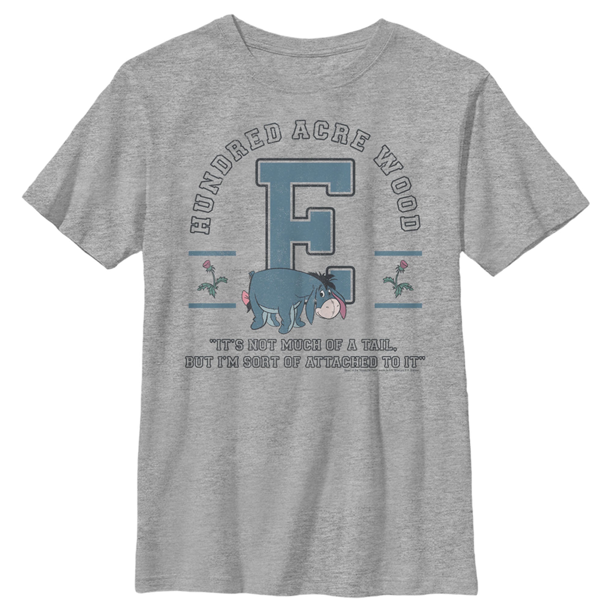 Boy’S Winnie The Pooh Eeyore 100 Acre Woods Jersey T-Shirt