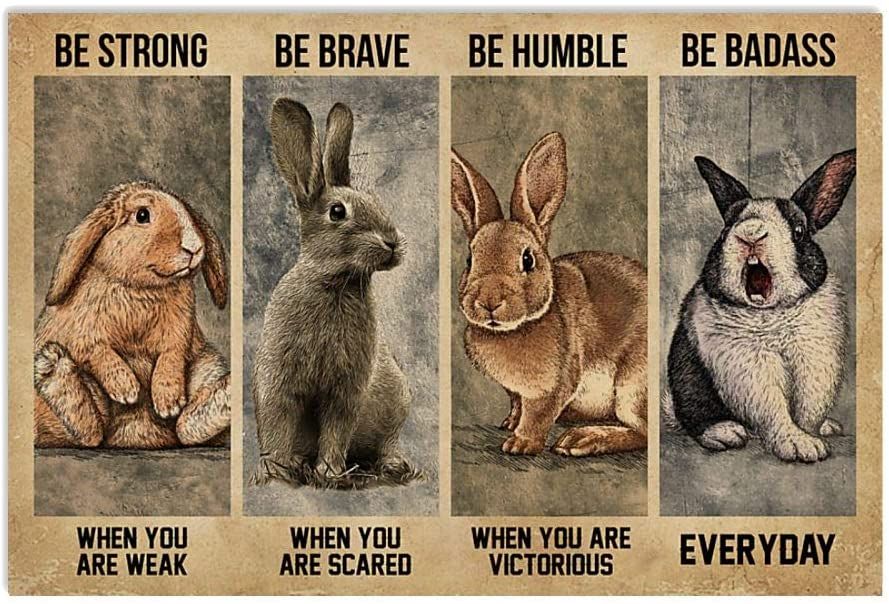 Be Strong When You are Weak Poster, Funny Rabbit Bunny Lover Gifts Horizontal Poster No Frame Full Size for Birthday, Christmas