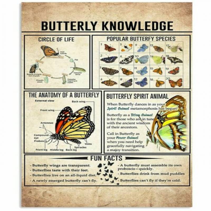 homesweetquilt – Satin Poster Butterfly Knowledge Shirt Poster-Portrait no Frame, hp0105