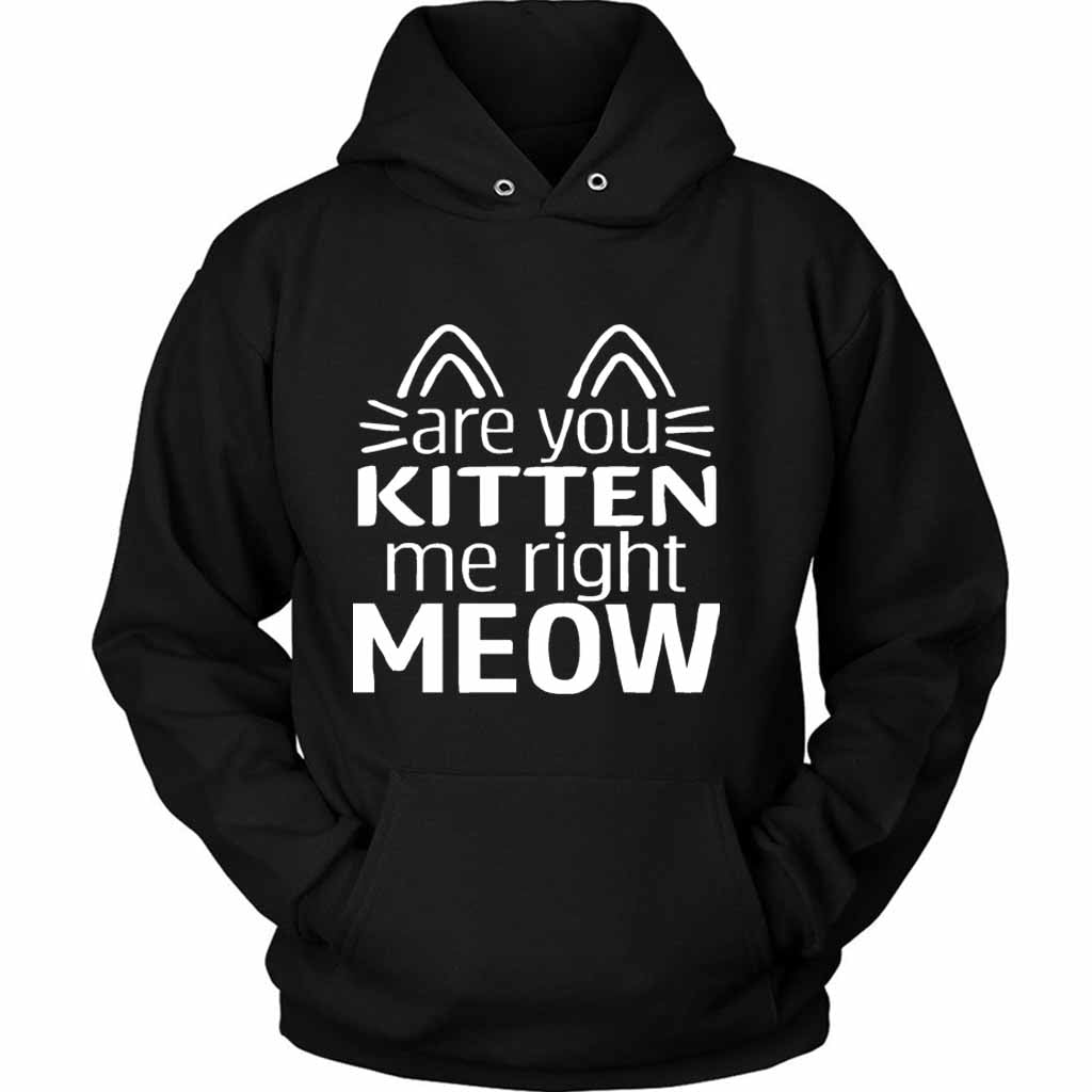 Are You Kitten Me Right Meow Mask Unisex Hoodie