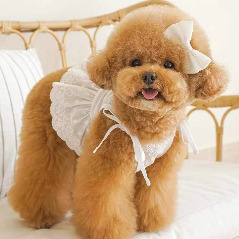 Cute Pet Clothes Puppy Lace Suspender Gentle Short Navel Dress Bichon Teddy Dress Pretty Dog Clothes Pet Products alx