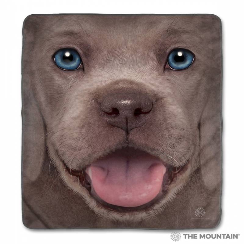 Big Face Weimaraner Puppy CLA1712731F Sherpa Fleece Blanket