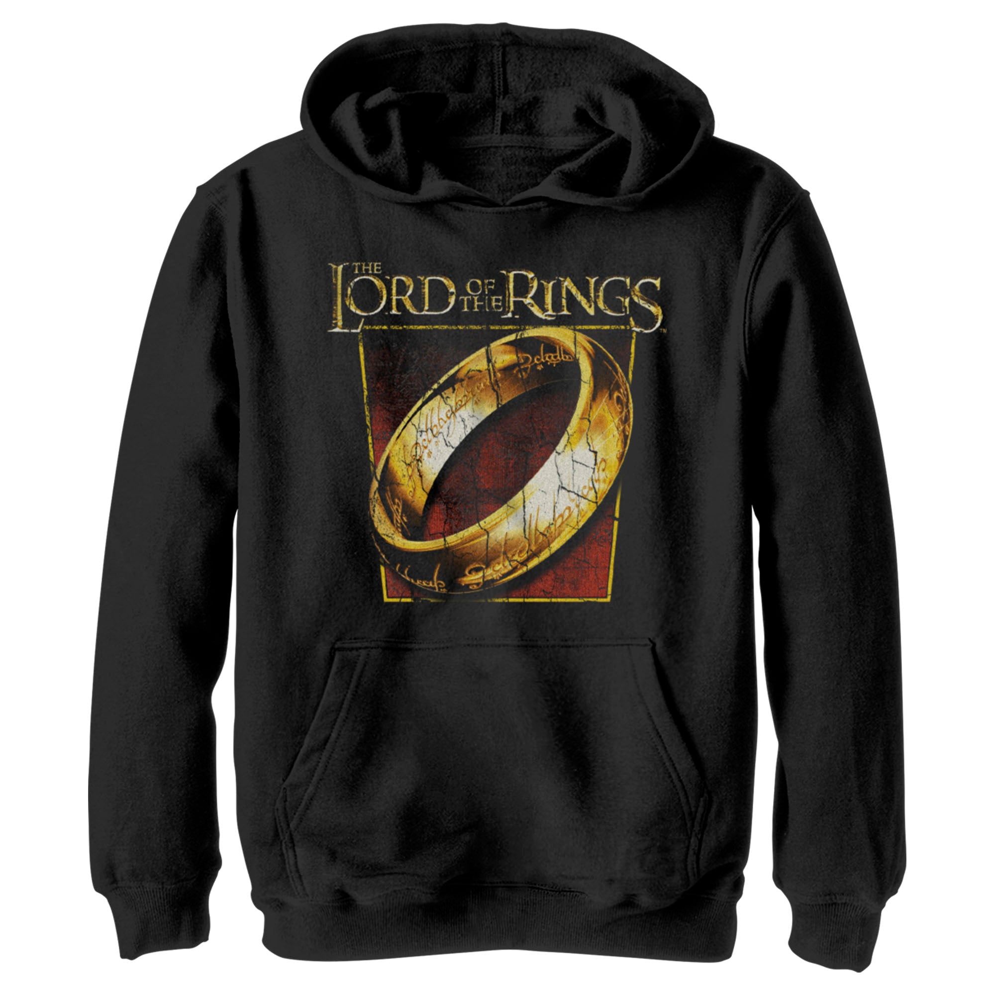 Boy’S The Lord Of The Rings Fellowship Of The Ring Close-Up Ring Pull Over Hoodie