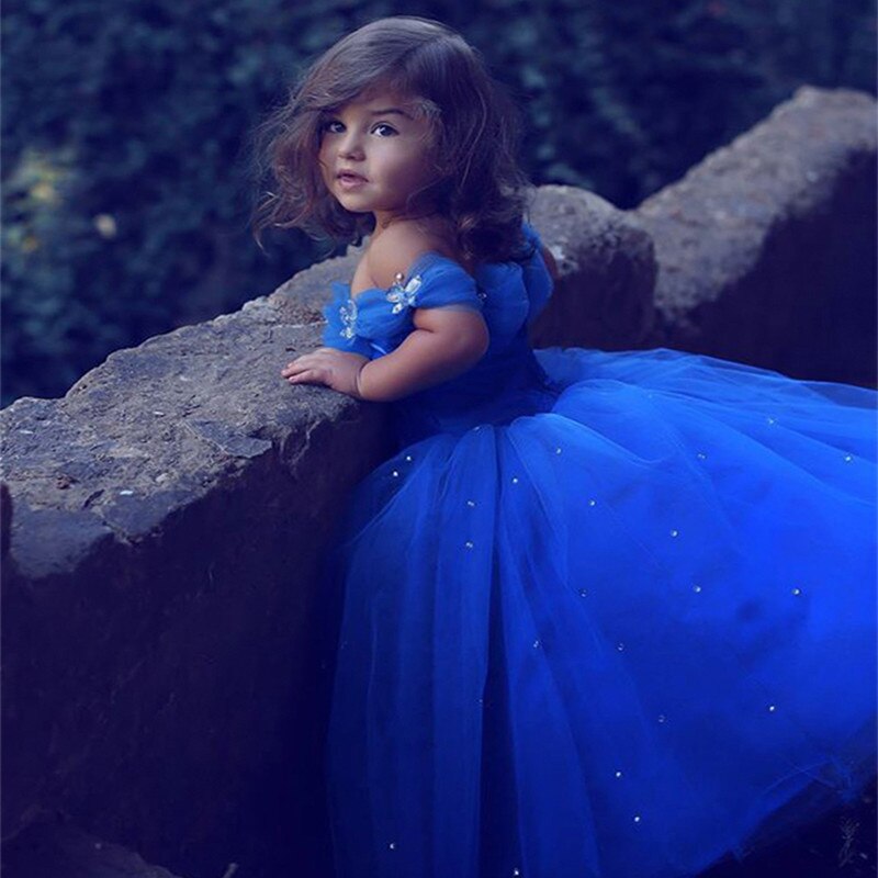 Temperament Embroidered Kids Blue Noble Flower Girls Cinderella Party Dresses for Children 2-10 Years Old alx