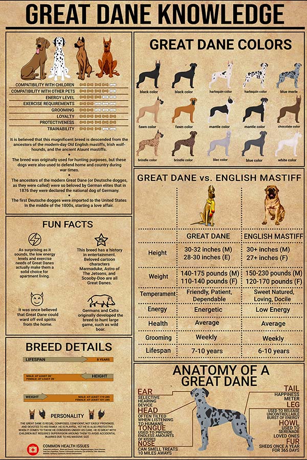 Wall Decoration  Home Decor  Decoration Room Great Dane Knowledge Poster   English Mastiff