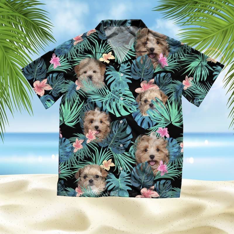 Felacia Maltese Summer Leaves Hawaii Shirt Ha41934