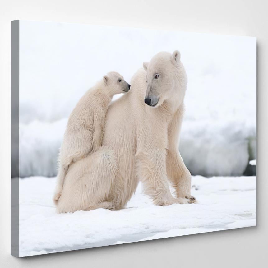 Polar Bear Cub 1 1 – Bear Animals Canvas Print