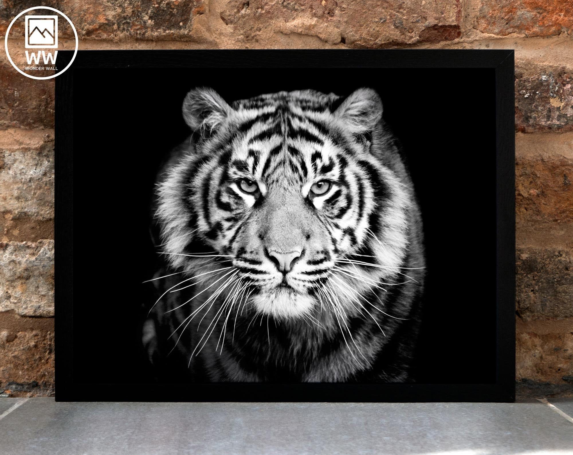 Tiger Print Tiger Black White Photograph Animal Print Fin poster canvas