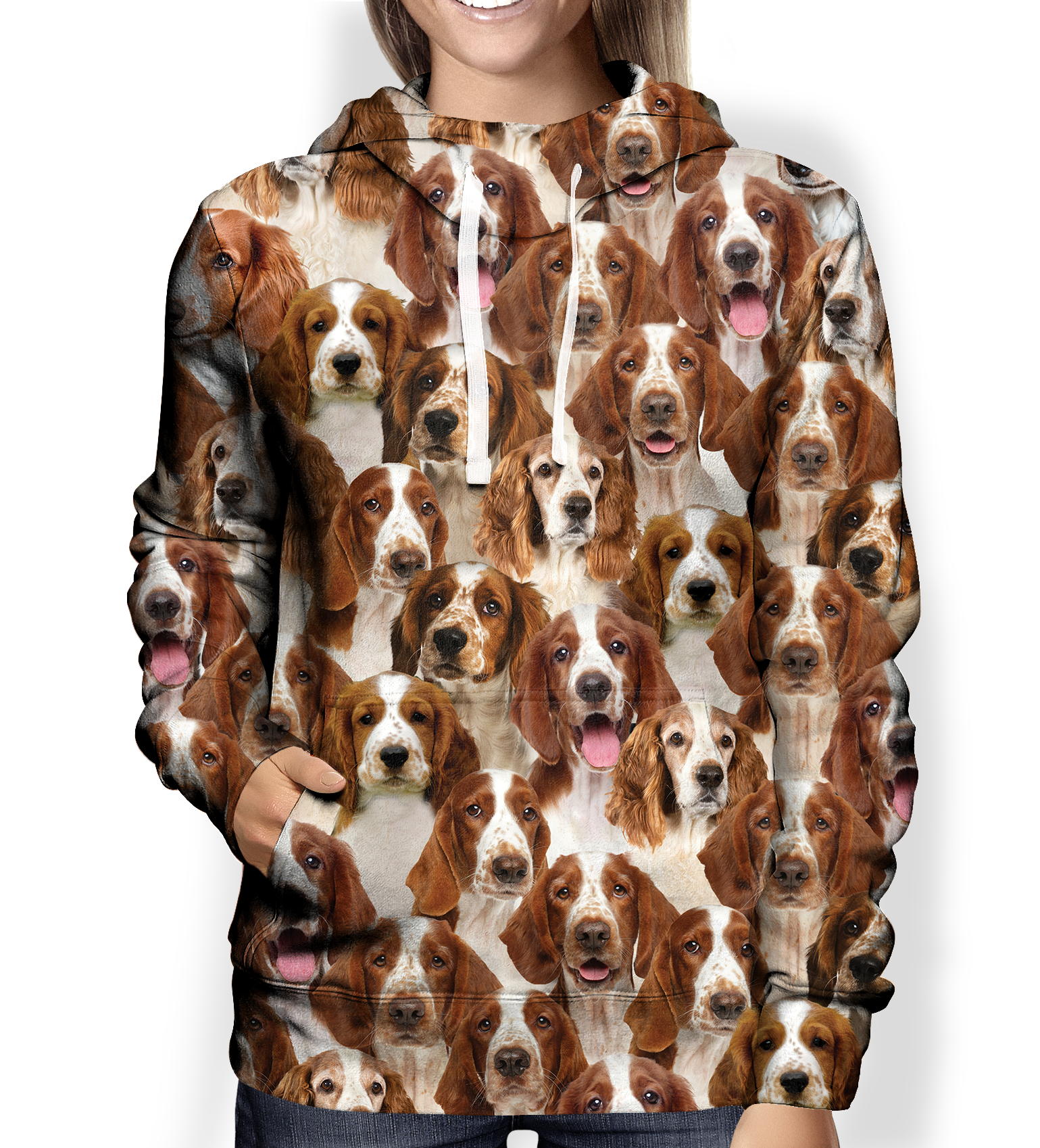 You Will Have A Bunch Of Welsh Springer Spaniels – Hoodie V1