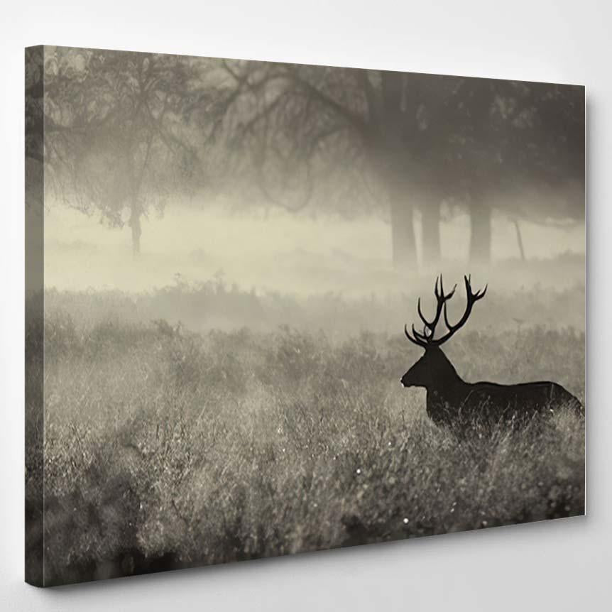 Red Stag Deer Mist – Deer Animals Canvas Print