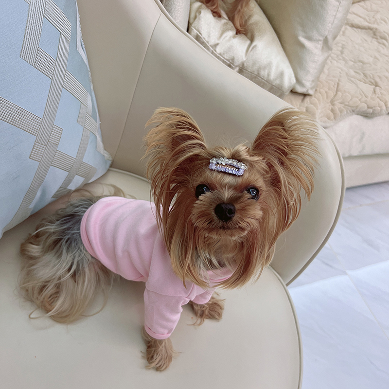 Puppy Solid Color Bottoming Shirt Autumn and Winter Pet Knitted Sweater Teddy Bear Warm Two-legged Clothes Popular Pet Supplies alx