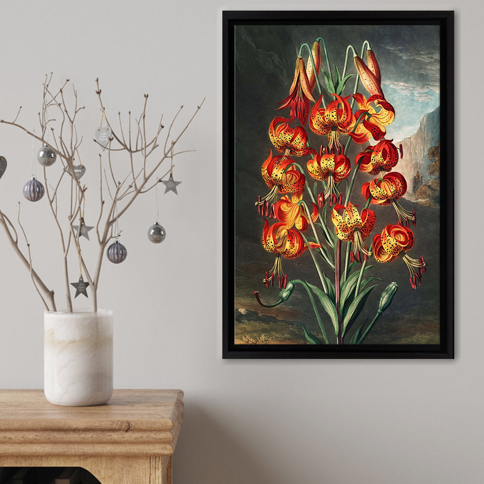 The Superb Lily Framed Canvas Print – Canvas Painting, Canvas Art, Wall Art, Wall Decor