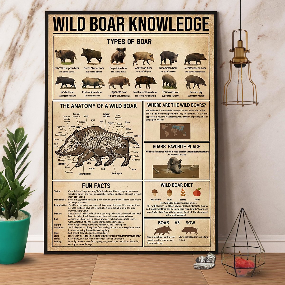 Wild Boar Knowledge Paper Poster No Frame Matte Canvas Wall Decor