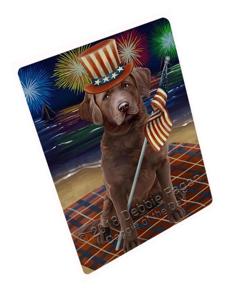 4Th Of July Independence Day Firework Chesapeake Bay Retriever Dog Blanket Blnkt55452 (37X57 Sherpa)