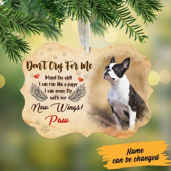 Xmas Gifts Personalized Dog Memorial Dont Cry For Me Merry Christmas Decor Gift For Dog Lover Christmas Ornament Hg (9 X 9 Cm)