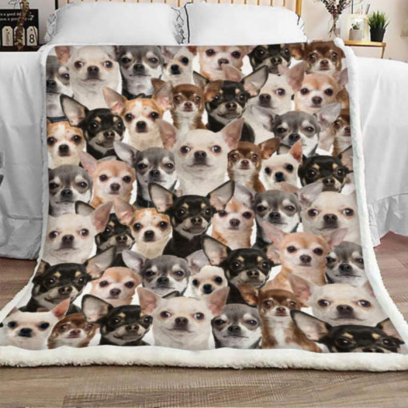 Chihuahua Dog Sherpa Blanket JR1401 68O59