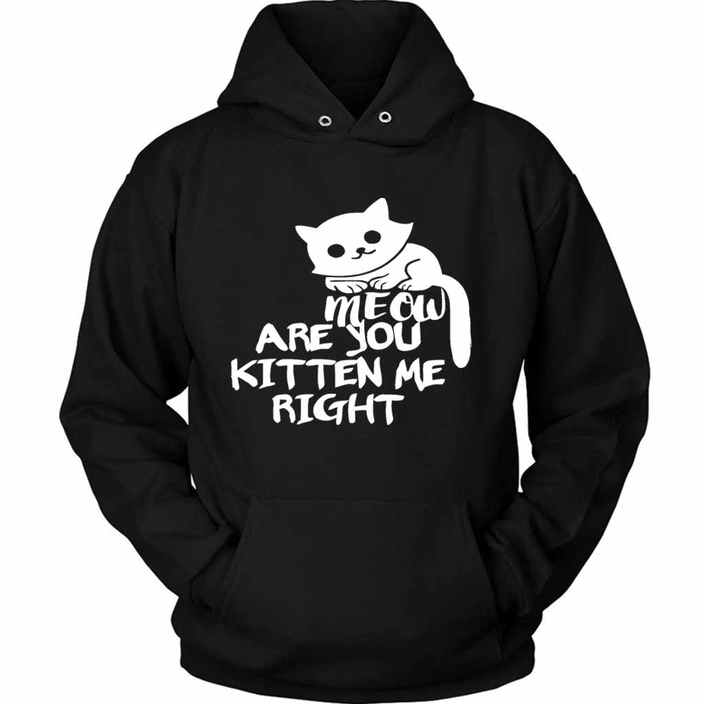 Are You Kitten Me Right Meow Classic Unisex Hoodie