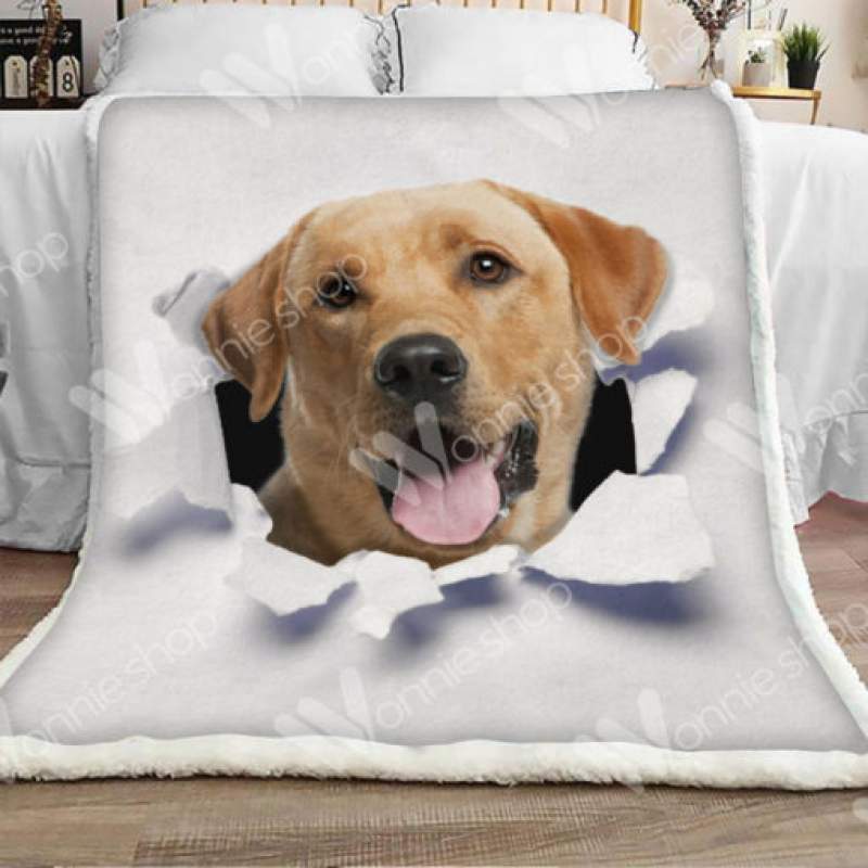 Labrador Retriever Dog Sherpa Blanket JR1502 67O59