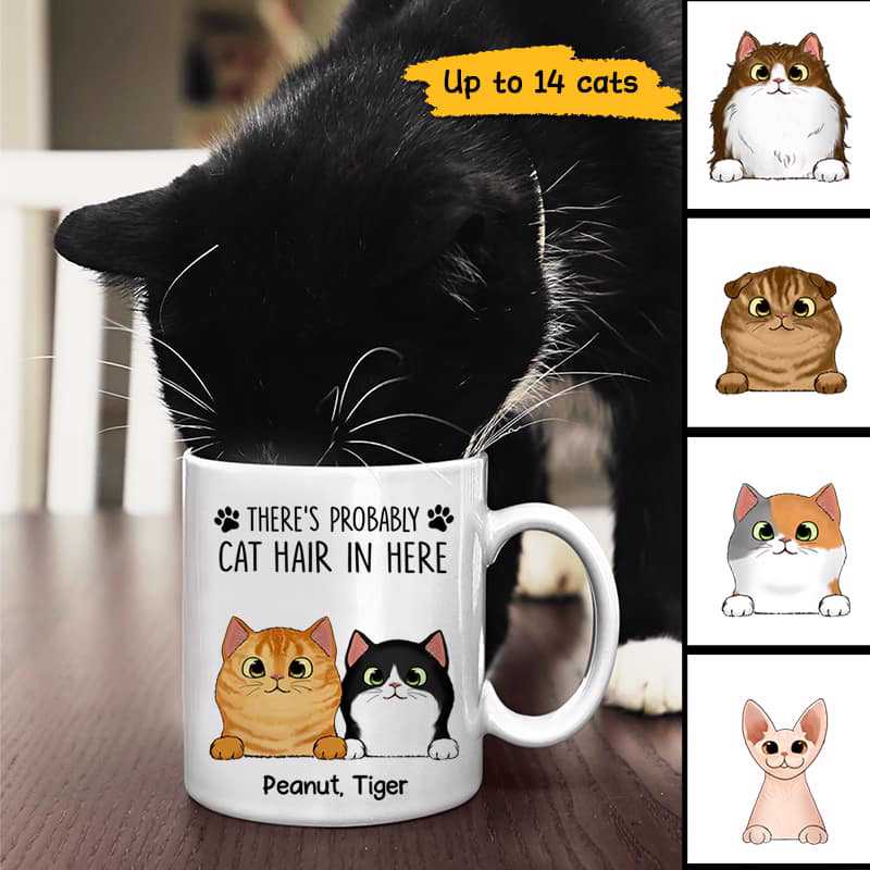 Cat Hair In Here Fluffy Cat Personalized Mug