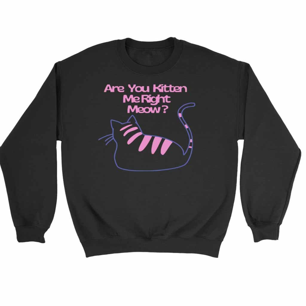 Are You Kitten Me Right Meow Art Sweatshirt Sweater