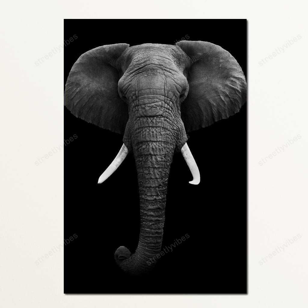 Black And White Elephant Face Canvas