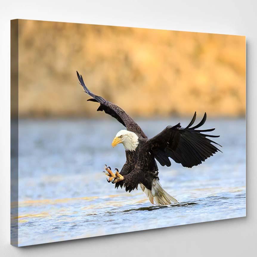 Talon Out Bald Eagle Has Spotted – Eagle Animals Canvas Print