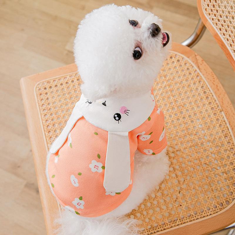 Puppy Dog Cute Rabbit Sweater Spring Autumn Winter Warm Small and Medium Dog Pet Two-legged Clothes Teddy Jumper alx