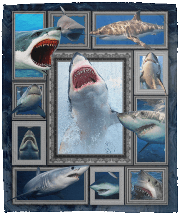 3D Shark Ocean Gs-Cl-Dt1303 Sherpa Fleece Blanket