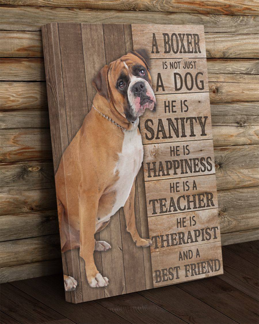 Boxer Sanity Canvas Gift for Friend Birthday Gift Warm Home Decor Wall Art Visual Art