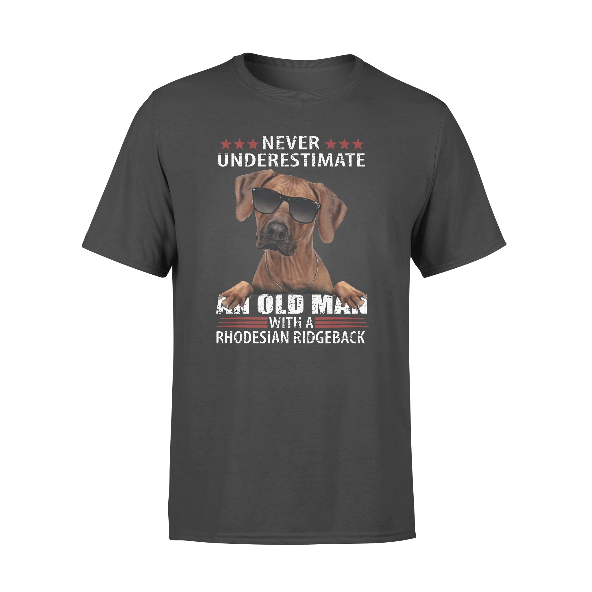 Never Underestimate An Old Man With A Rhodesian Ridgeback Gift Man Dog Lovers – Premium T-shirt