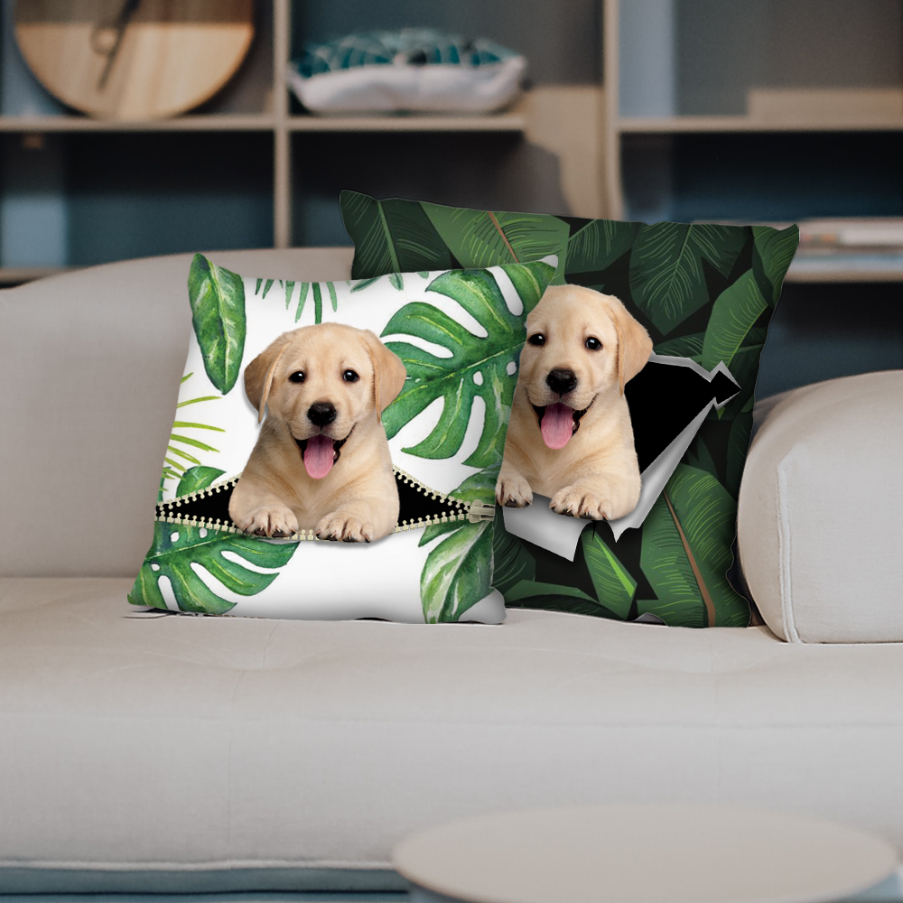 They Steal Your Couch – Labrador Pillow Cases V2 (Set of 2)
