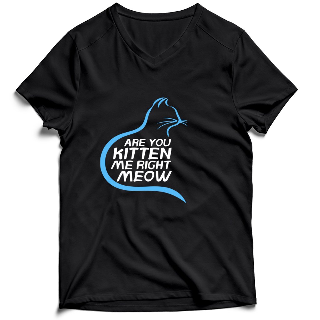 Are You Kitten Me Right Meow Hiden Men’s V-Neck Tee T-Shirt