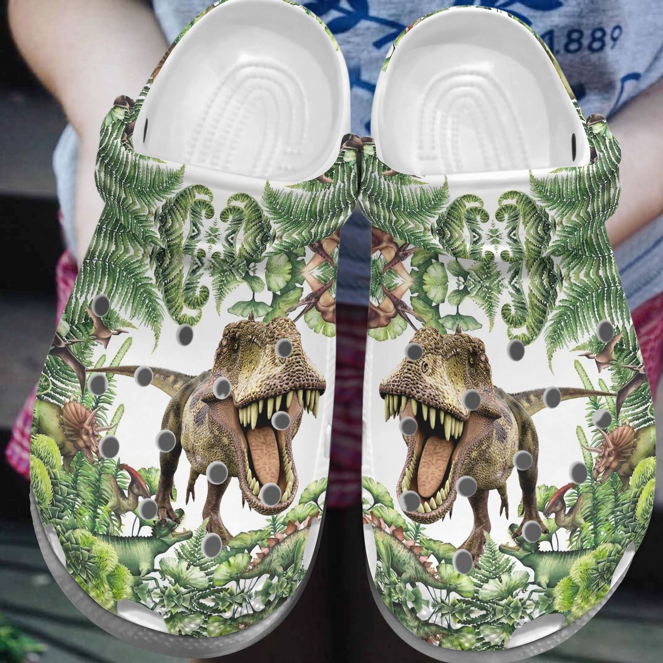 Dinosaur Personalized Clog, Custom Name, Text, Color, Number Fashion Style For Women, Men, Kid, Print 3D P2