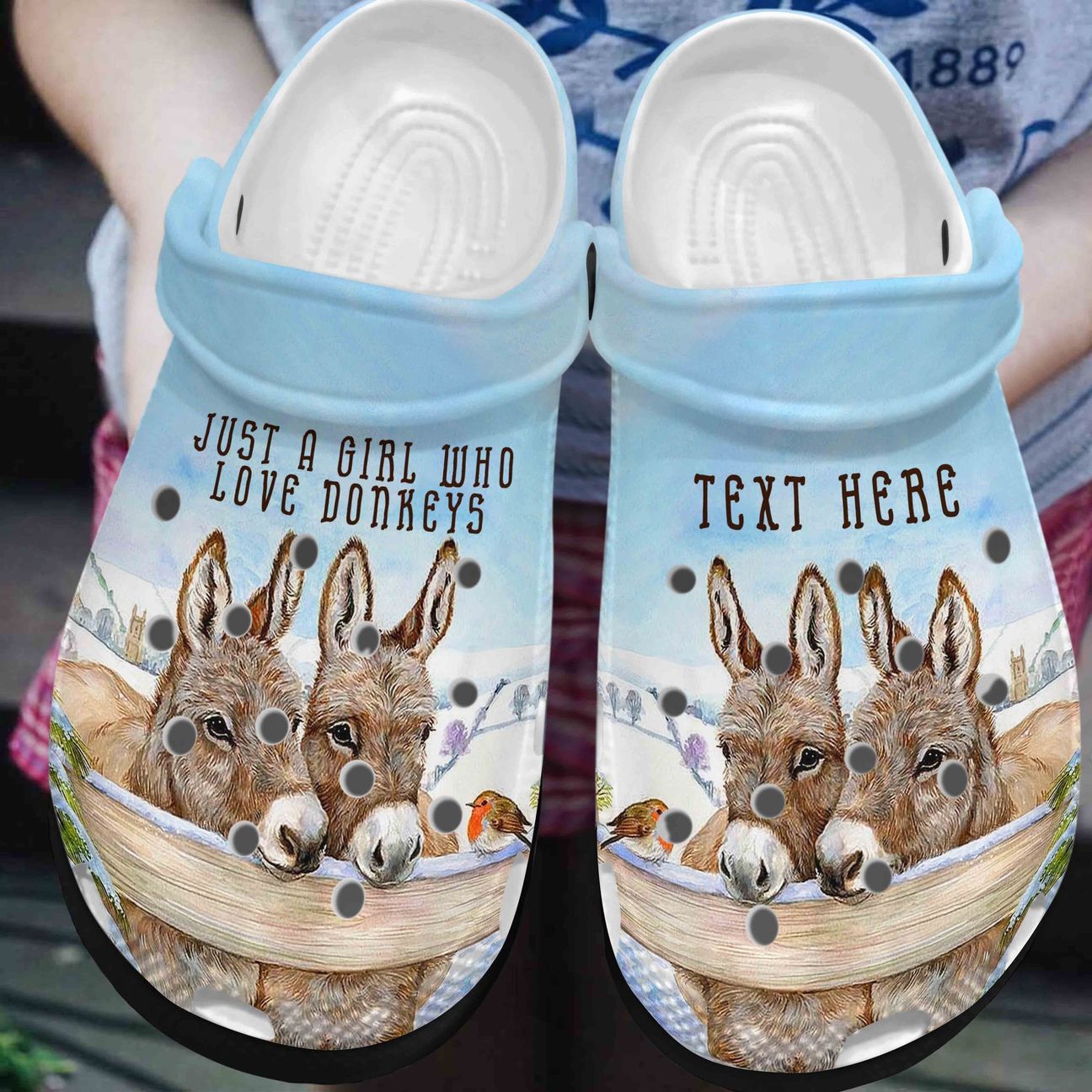 Donkey Personalized Clog, Custom Name, Text, Color, Number Fashion Style For Women, Men, Kid, Print 3D Just A Girl Who Loves Donkey