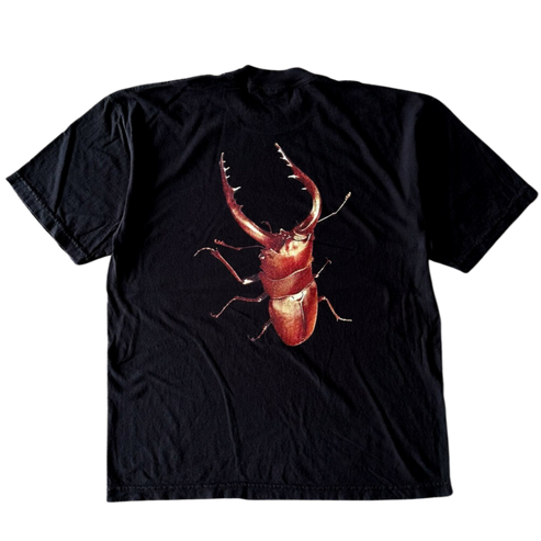 Big Beetles Tee Shirt Outfit