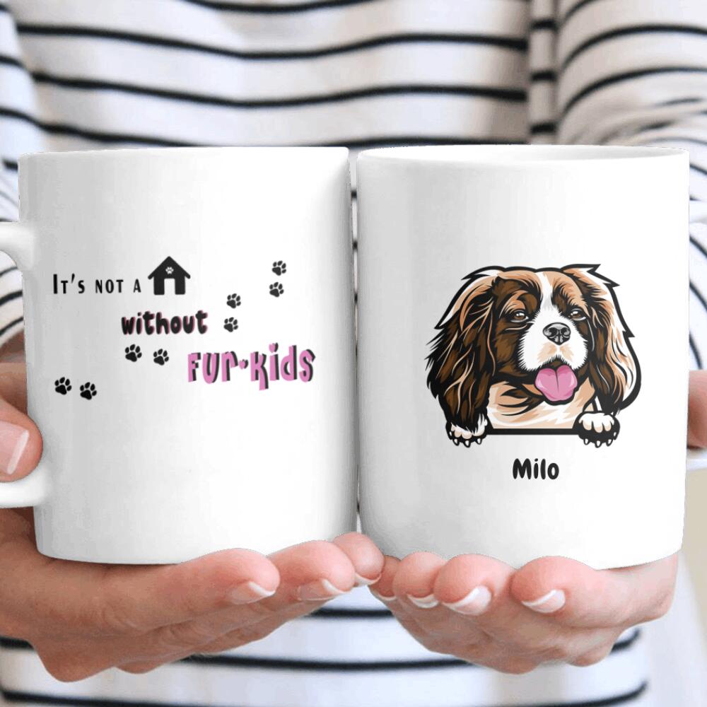 Personalized It’s Not A Home Without Fur Kid Funny Gift For Dog Lovers – Coffee Mug