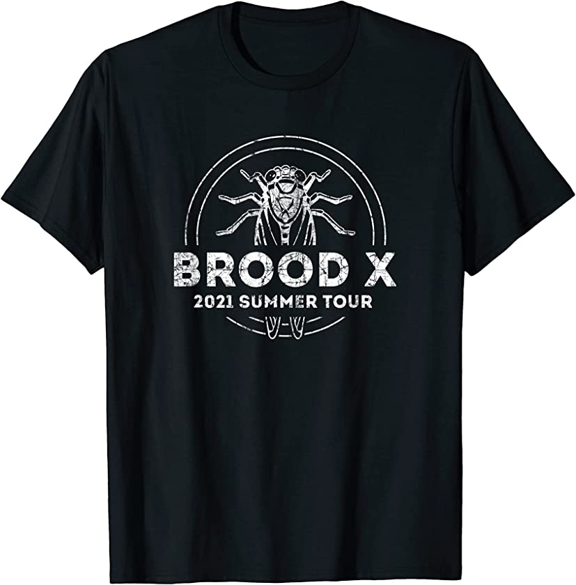 Vintage retro style Brood X 2021 Summer Tour T-Shirt