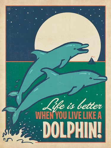 Life is better when you live like a dolphin Two Dolphins under the moon poster poster canvas