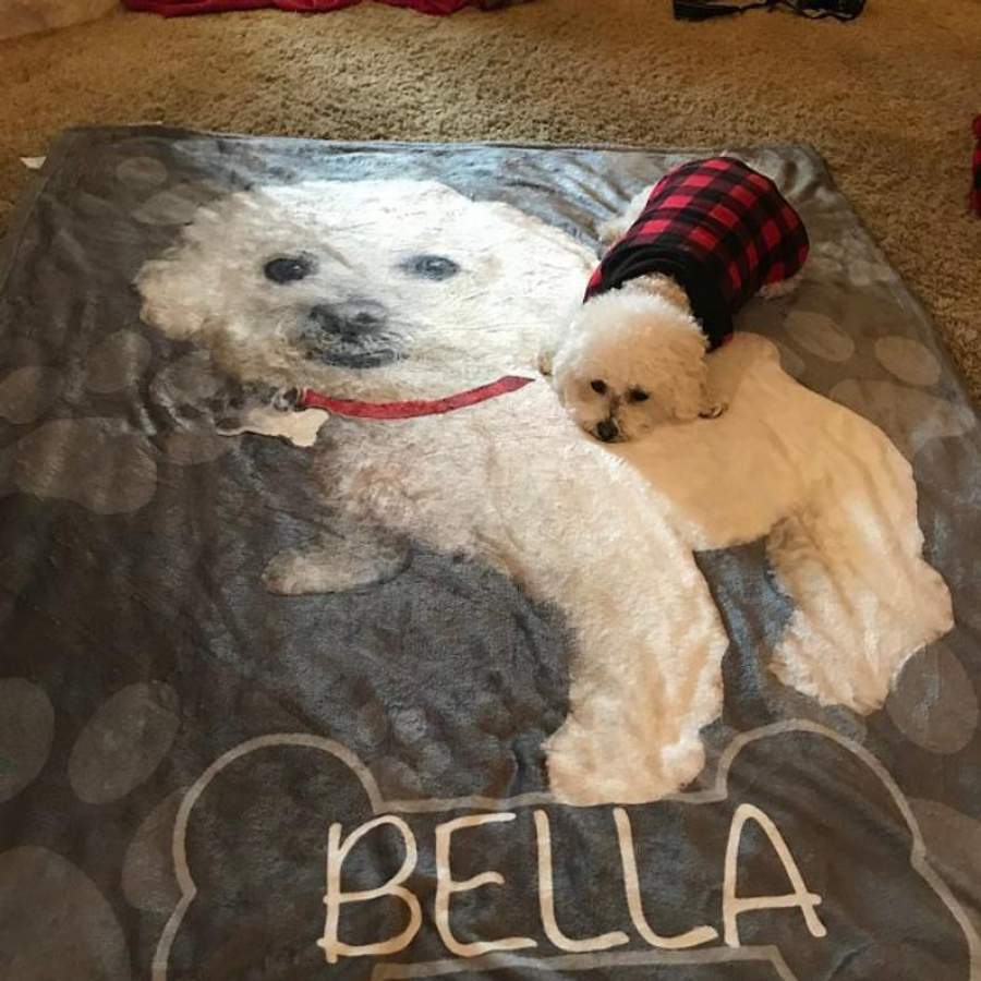 Custom Blanket Puppy and Kitty