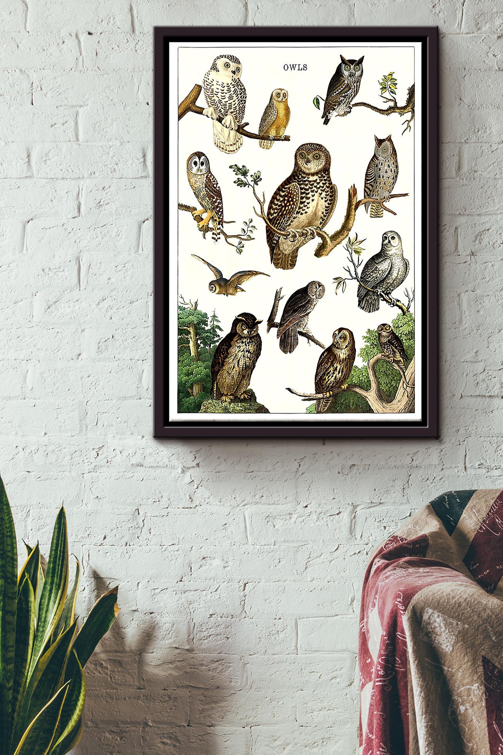 Types Of Owl In The World Poster – Animal Knowledge Wall Art Poster – Great Owl Painting Owl Print Gift For Animal Lover Framed Matte Canvas