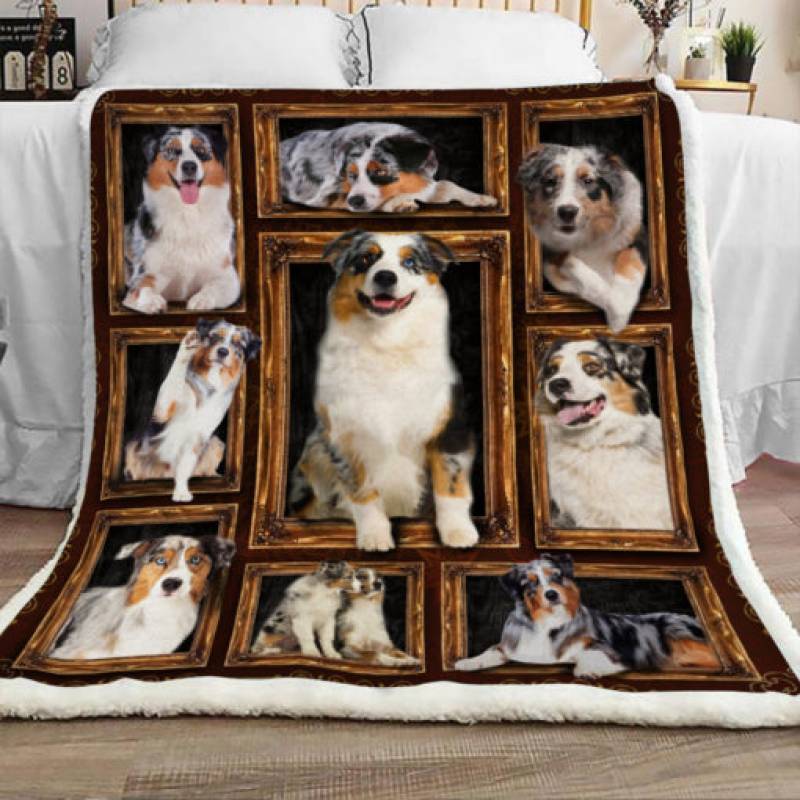 Australian Shepherd Dog Sherpa Blanket JR0202 67O50