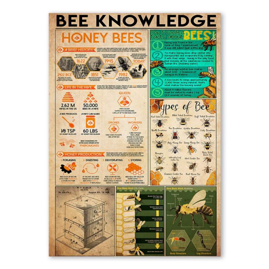 Bee Knowledge Honey Bees Vintage Unique  Poster  Gift