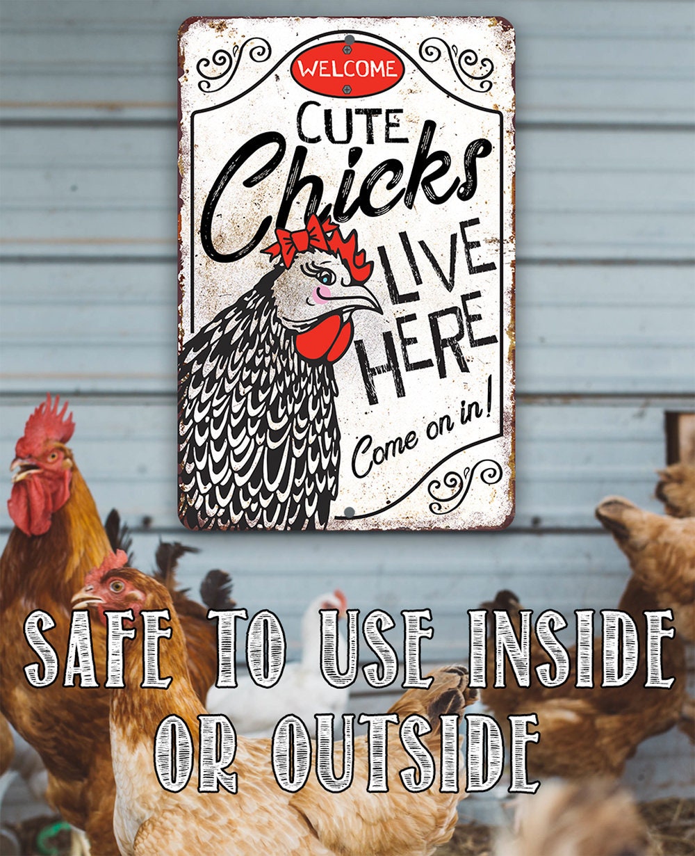 Cute Chicks Live Here Metal Sign 8″x12″ or 12″x18″ – Funny She Shed Decor