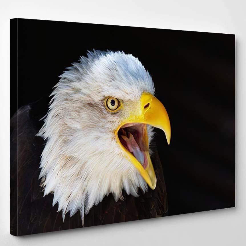 Screaming Bald Eagle On Dark Background – Eagle Animals Canvas Art Wall Decor Christmas Gift Ideas