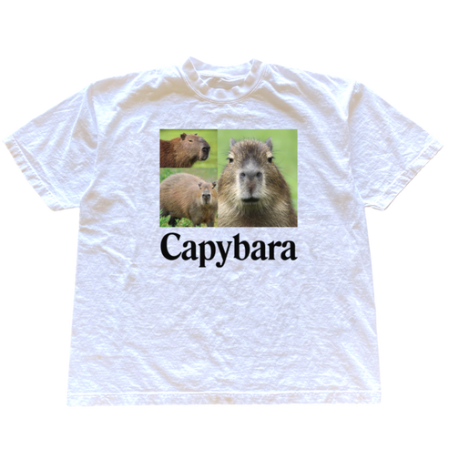 Capybara Tee Shirt Outfit