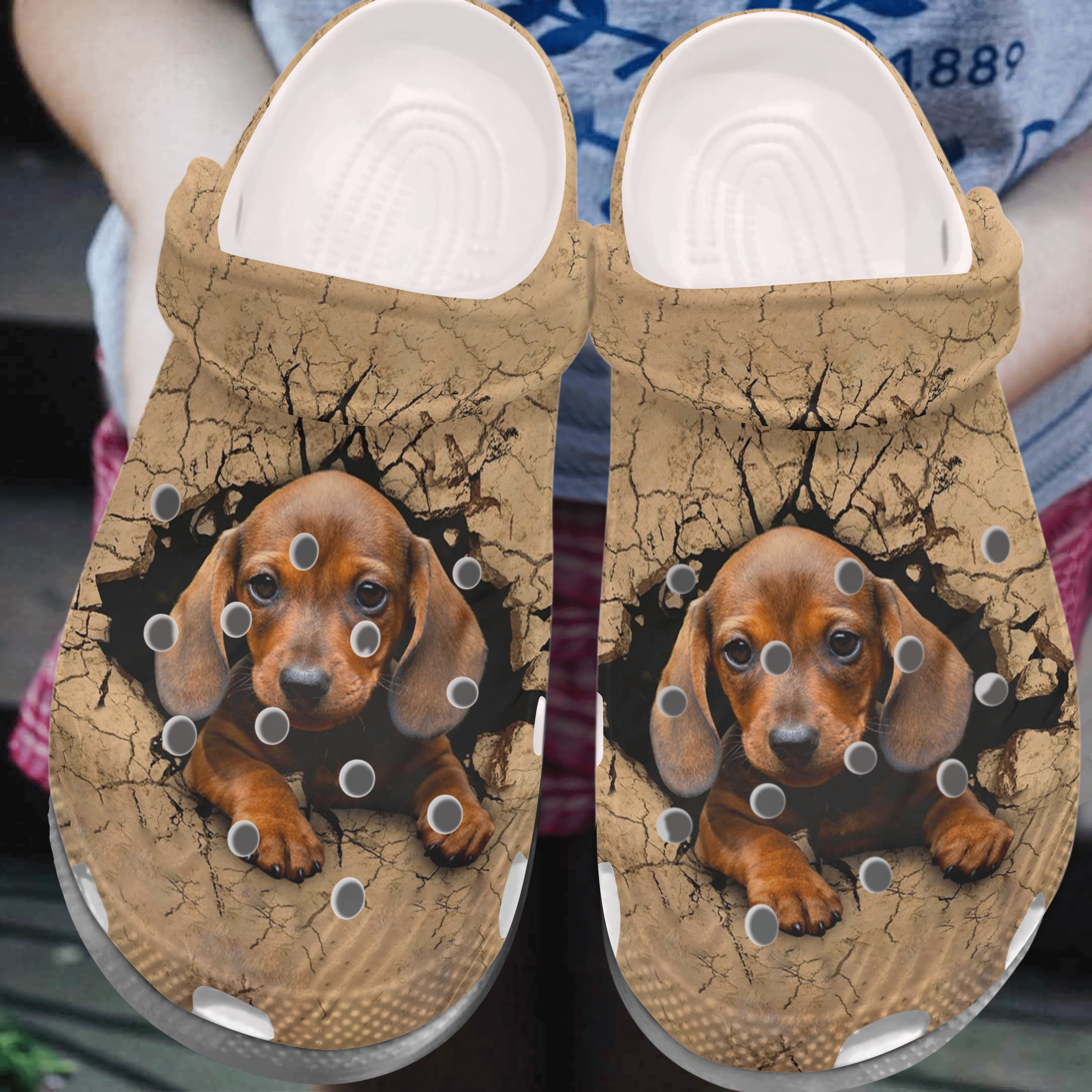 Dachshund Personalized Clog, Custom Name, Text, Color, Number Fashion Style For Women, Men, Kid, Print 3D My Dachshund